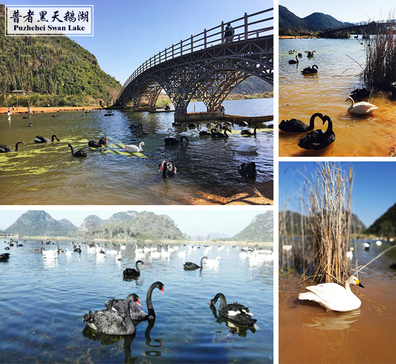 微信图片_20171106155807.jpg